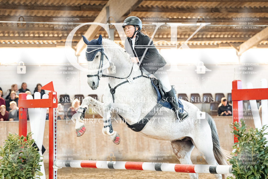 CK904354 | Turnierfotografie Pferdefotografie Trier Rheinland-Pfalz Pferdesport Reitsport Tierfotografie Sportfotografie Pferdevideo Pferdevideografie Equestrianvideography equestrianphotography  - Realized with Pictrs.com