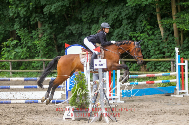 DKP45086 | Turnierfotos kaufen im Webshop von Daniel Kuhl Photography – entdecke professionelle Reitsportfotos aus Turnieren & Events. Hochwertige Turnierbilder online bestellen & sichern. Jetzt Fotos von Reitsportturnieren kaufen!