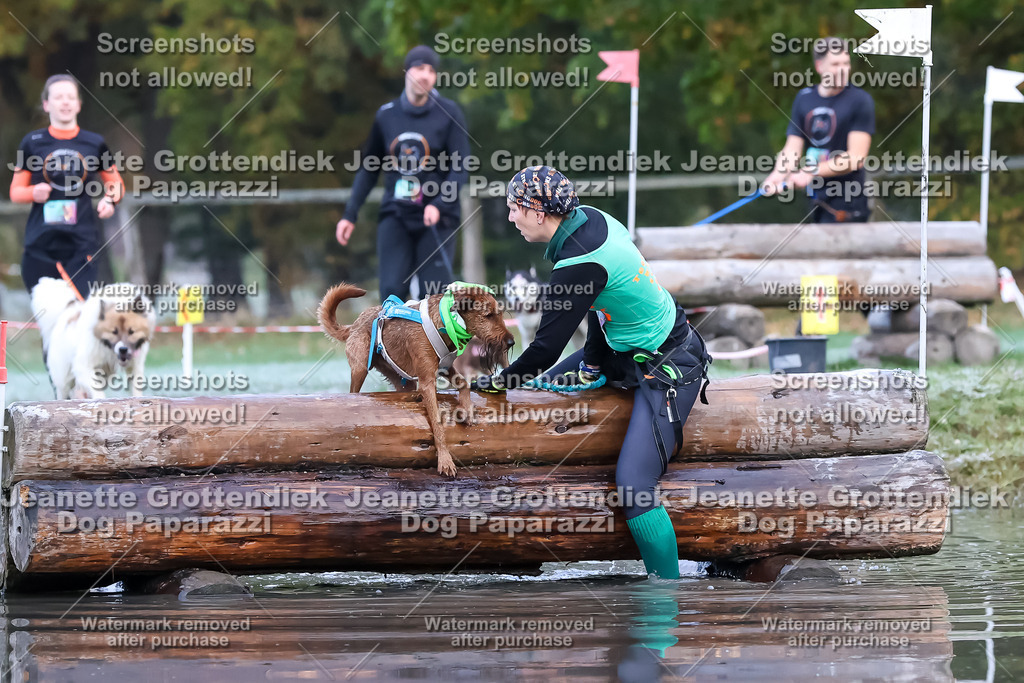 Dog Paparazzi - Strongdog 10-25-6196 | Dog Paparazzi Jeanette Grottendiek Fotografie & Videografie - Realisiert mit Pictrs.com