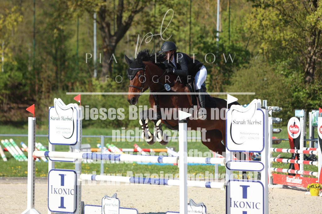 IMGM2651 | pl-fotografie