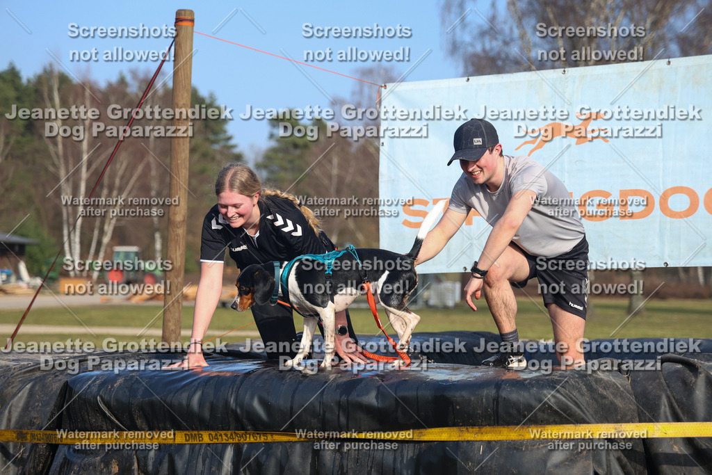 Dog Paparazzi - Strongdog North Mrz26-3551 | Dog Paparazzi Jeanette Grottendiek Fotografie & Videografie - Realisiert mit Pictrs.com