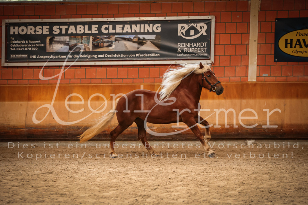 SaFL00499 | Leoni Ertmer Photography - Realisiert mit Pictrs.com