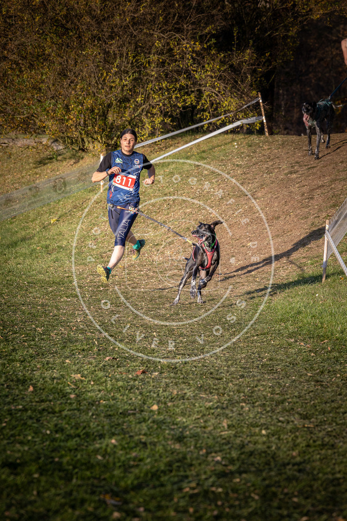 CaniXpix_0L8A0429 | Hundefotografie, Tierfotograf, Pfotenfotografie, Fotoshooting Hund, Hunde Portrait, Hundesport, Hundeportraits, Heideshooting, Hunde, Sportfotograf, Hundefotograf, Turnierhundsport, THS,  - Realisiert mit Pictrs.com