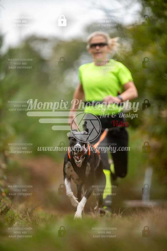 TSB_2023_E5_Canicross-74 | PayLife