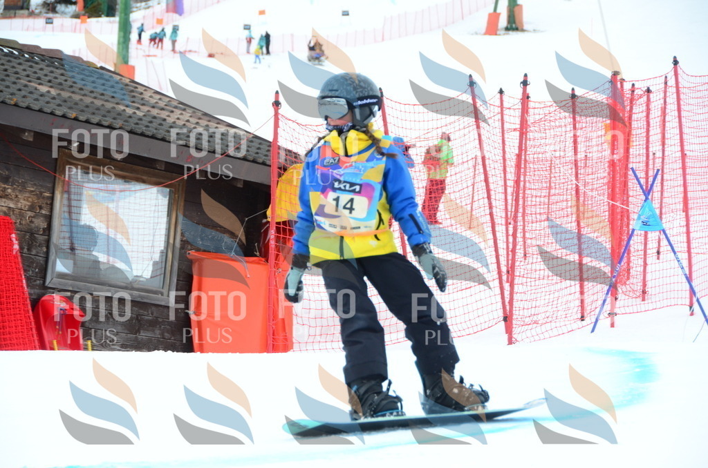 DSC_2166 | holidayphoto