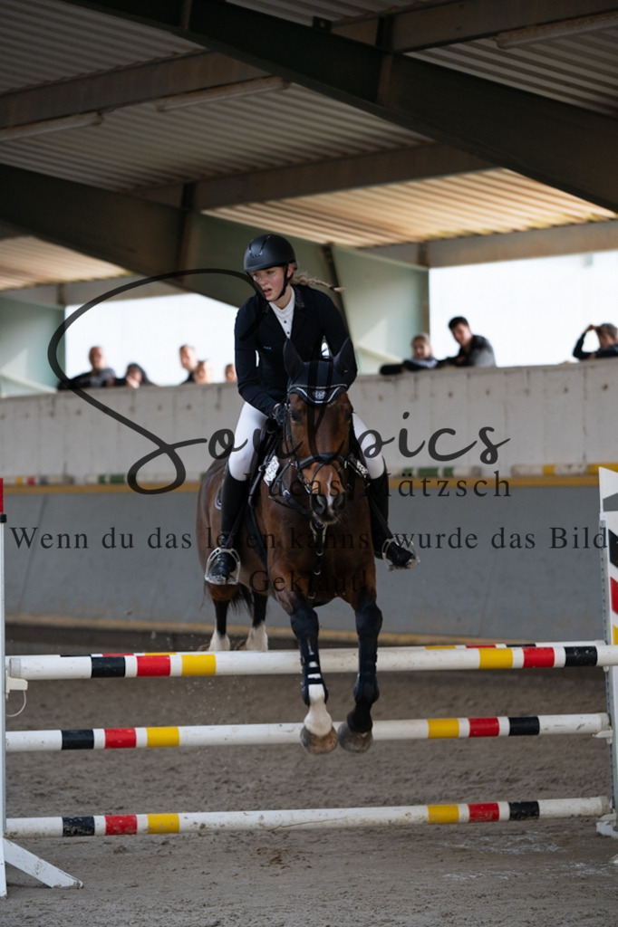 A7V08341 | Pferdefotograf