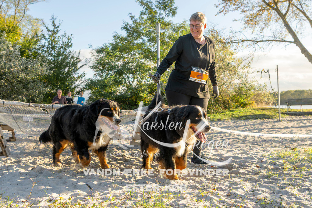 1653_ZZ90032 | kk-dogfotos