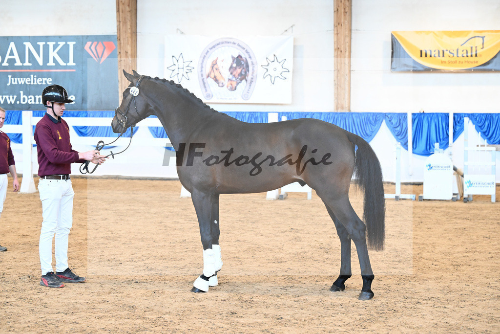 Kat-Nr. 22 Bon Amour v. Bon Courage_Reglauer_8260538 | hf-fotografie - Realizzato con Pictrs.com