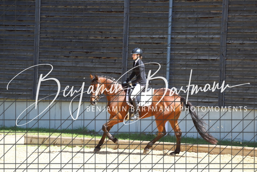 IMG_6095 | Benjamin Bartmann Photomoments