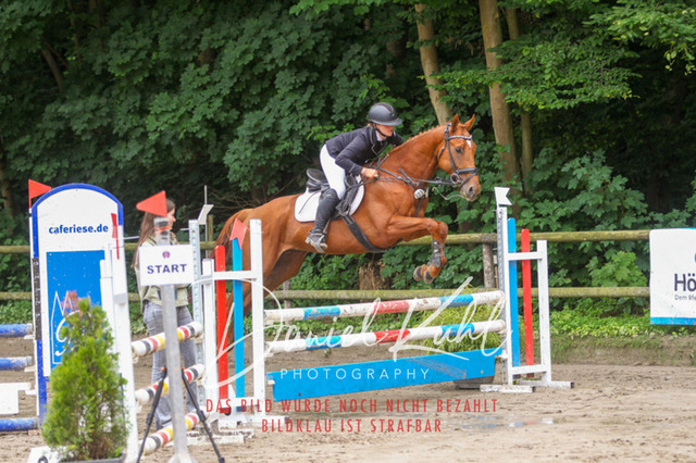 DKP44931 | Turnierfotos kaufen im Webshop von Daniel Kuhl Photography – entdecke professionelle Reitsportfotos aus Turnieren & Events. Hochwertige Turnierbilder online bestellen & sichern. Jetzt Fotos von Reitsportturnieren kaufen!