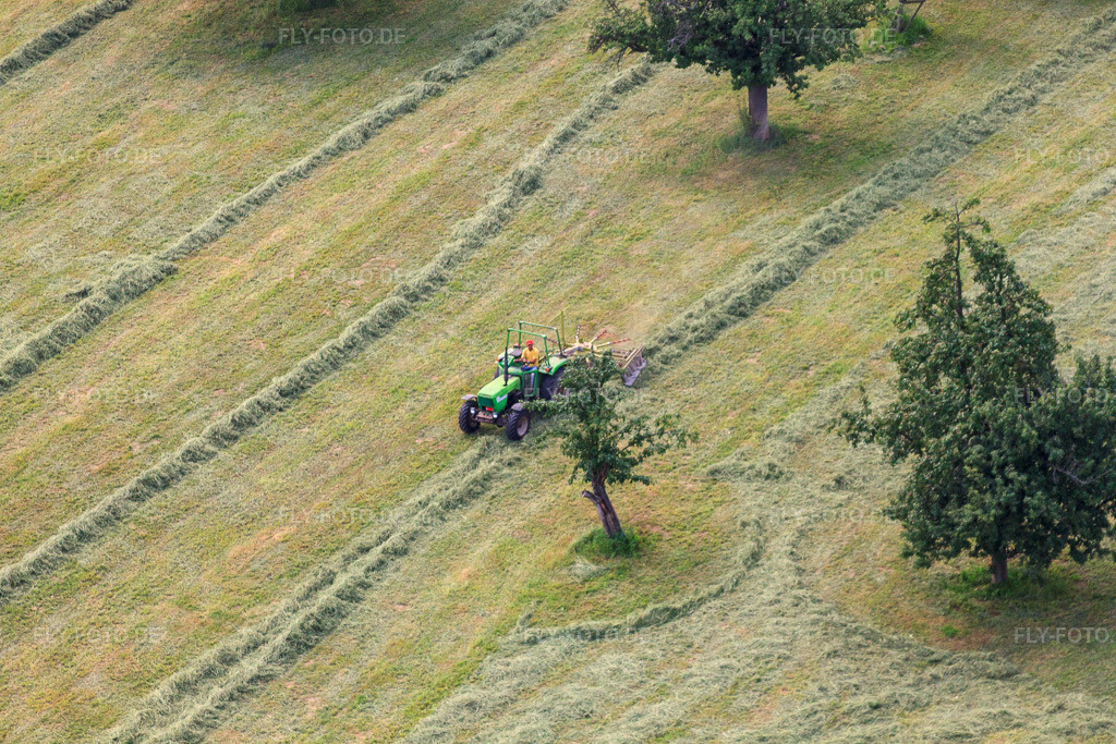 Luftbild: Mäharbeiten auf dem Bierhelderhof im Ortsteil Königstuhl in Heidelberg im Bundesland Baden-Württemberg in Deutschland. Foto: IMG_29967.jpg vom 02.07.2010 durch Werner Riehm/FLY-FOTO.de