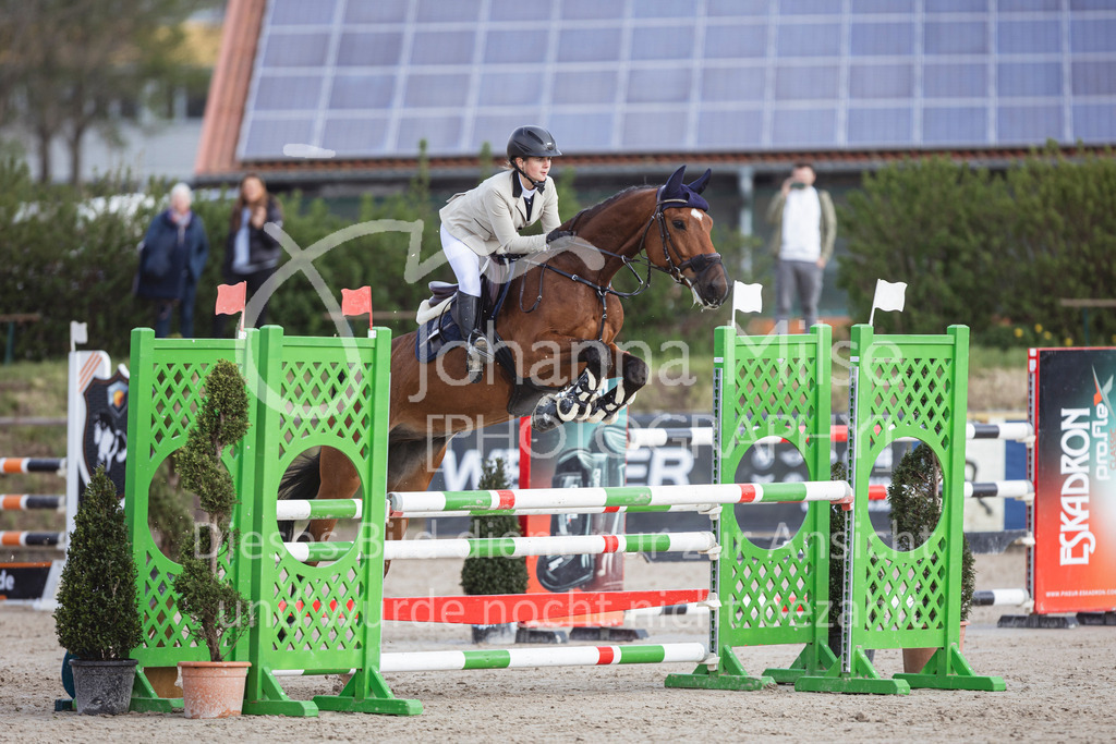 250419_Frühlingsfest_Springpf-L-339 | Deine schönsten Turniermomente als professionelle Fotos! Entdecke hochwertige Pferdesport-Fotografie im Online-Shop. Jetzt Fotos finden & bestellen!