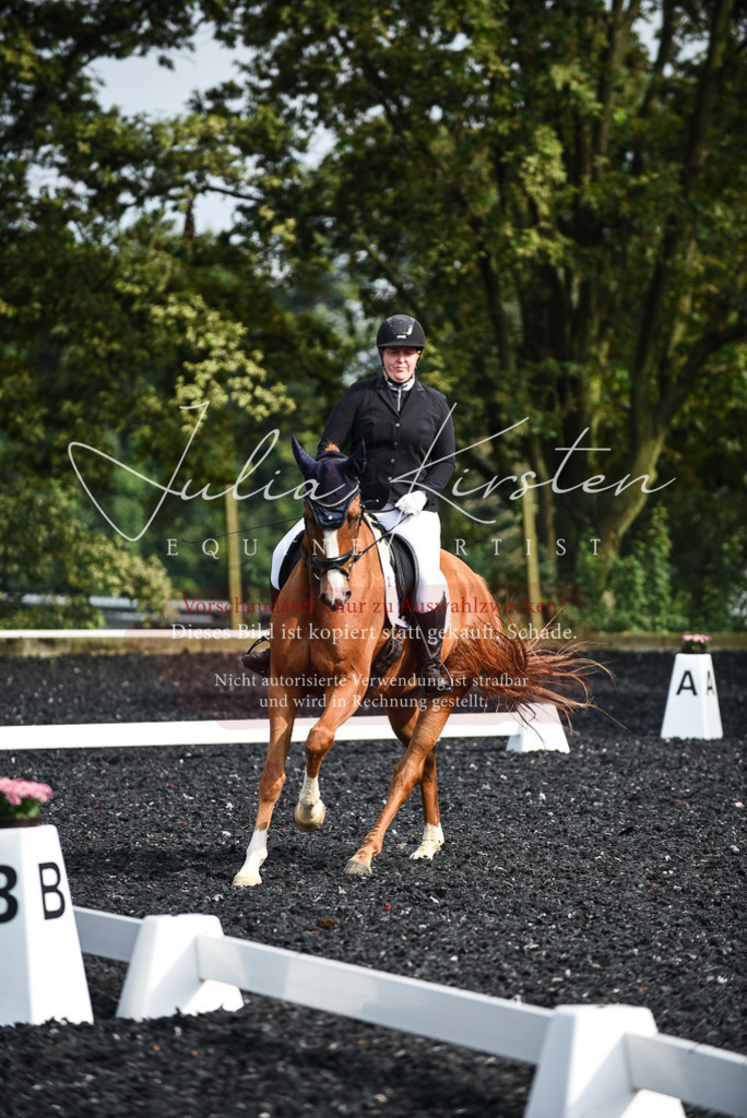 DSC_3061 | Pferde- und Turnierfotografie in Westsachsen. Pferdeportraits, Auftragszeichnungen und intuitive Kunst.