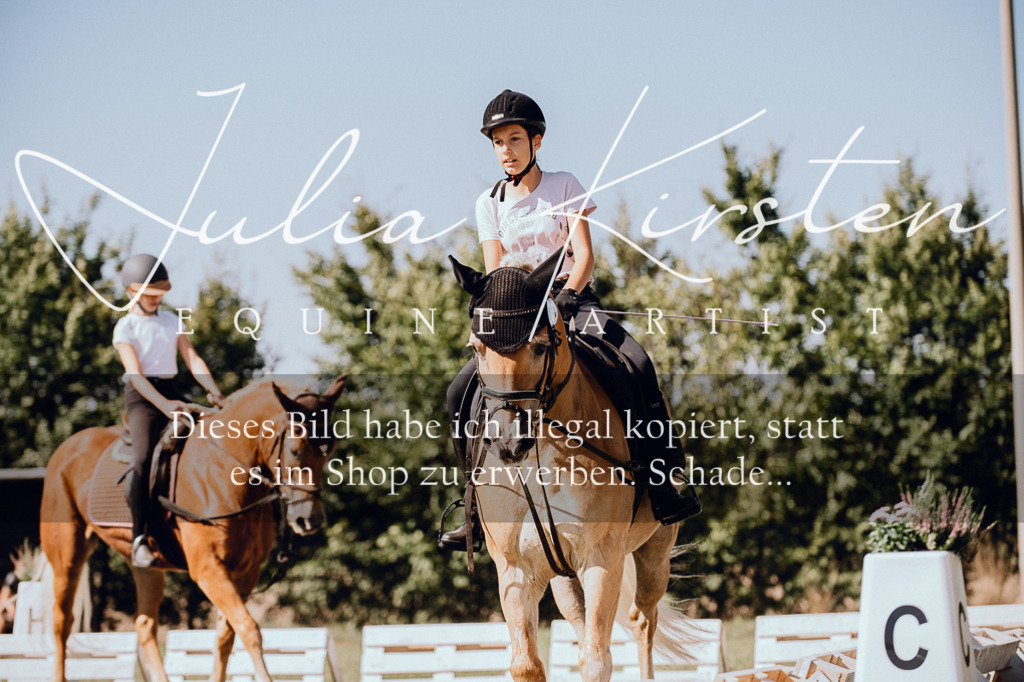 DSC_7217 | Pferde- und Turnierfotografie in Westsachsen. Pferdeportraits, Auftragszeichnungen und intuitive Kunst.