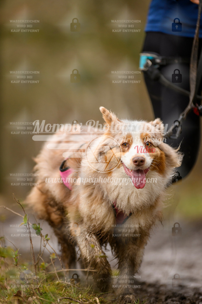 MompixPhotography_CDSM24_SA_CCS-163 | PayLife