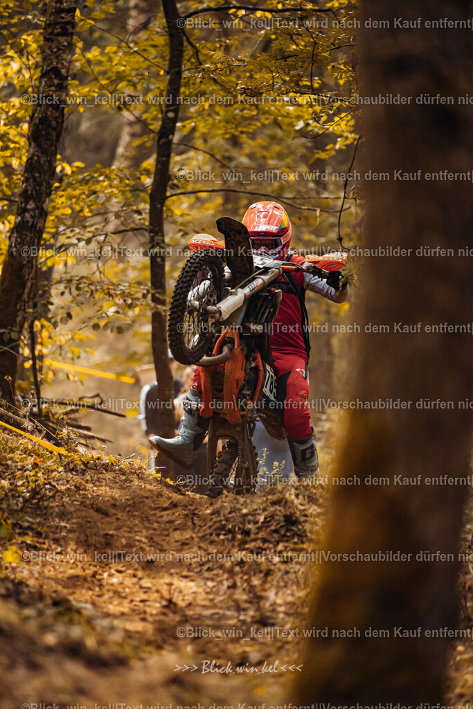 E68A4043 | blick_win_kel