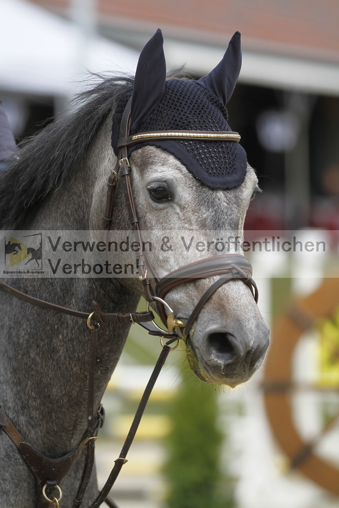 _MG_0865 | equestrian-live-com