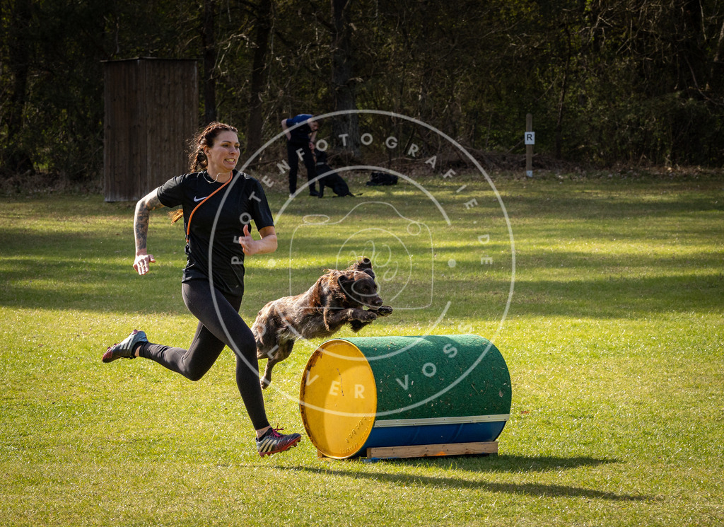 Pfotenfotografie_DV3A3012 | Hundefotografie, Tierfotograf, Pfotenfotografie, Fotoshooting Hund, Hunde Portrait, Hundesport, Hundeportraits, Heideshooting, Hunde, Sportfotograf, Hundefotograf, Turnierhundsport, THS,  - Realisiert mit Pictrs.com