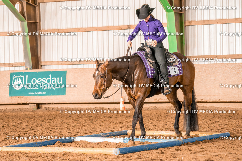 BAL00517 | dv-media-shop - Realisiert mit Pictrs.com