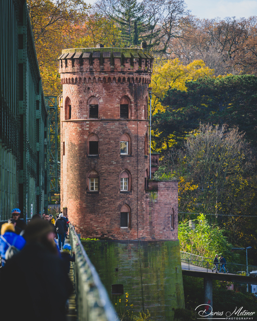 _DSC1719 | Fotografien, Fotos und Bilder aus Mainz, Frankfurt, Wiesbaden und anderen Orten auf der Welt - Fotografiert von Darius Metzner