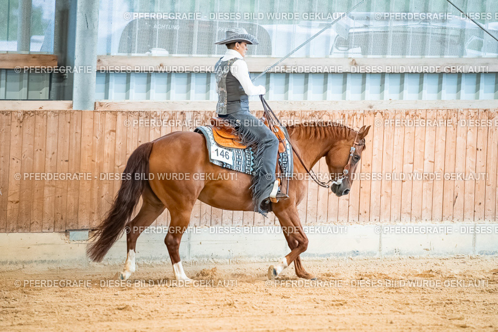 DSC00099 | Pferdegrafie