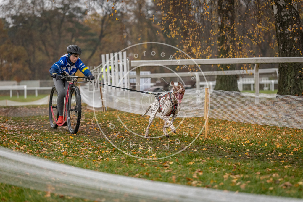 CaniXpix_DV3A7547 | Hundefotografie, Tierfotograf, Pfotenfotografie, Fotoshooting Hund, Hunde Portrait, Hundesport, Hundeportraits, Heideshooting, Hunde, Sportfotograf, Hundefotograf, Turnierhundsport, THS,  - Realisiert mit Pictrs.com