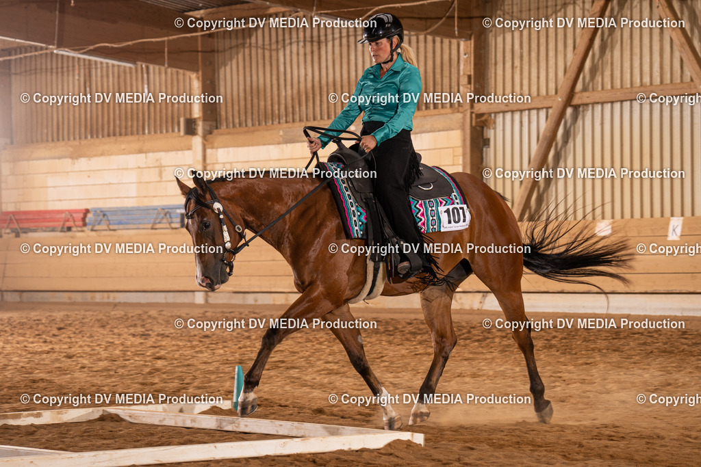 NID00761 | dv-media-shop - Realisiert mit Pictrs.com