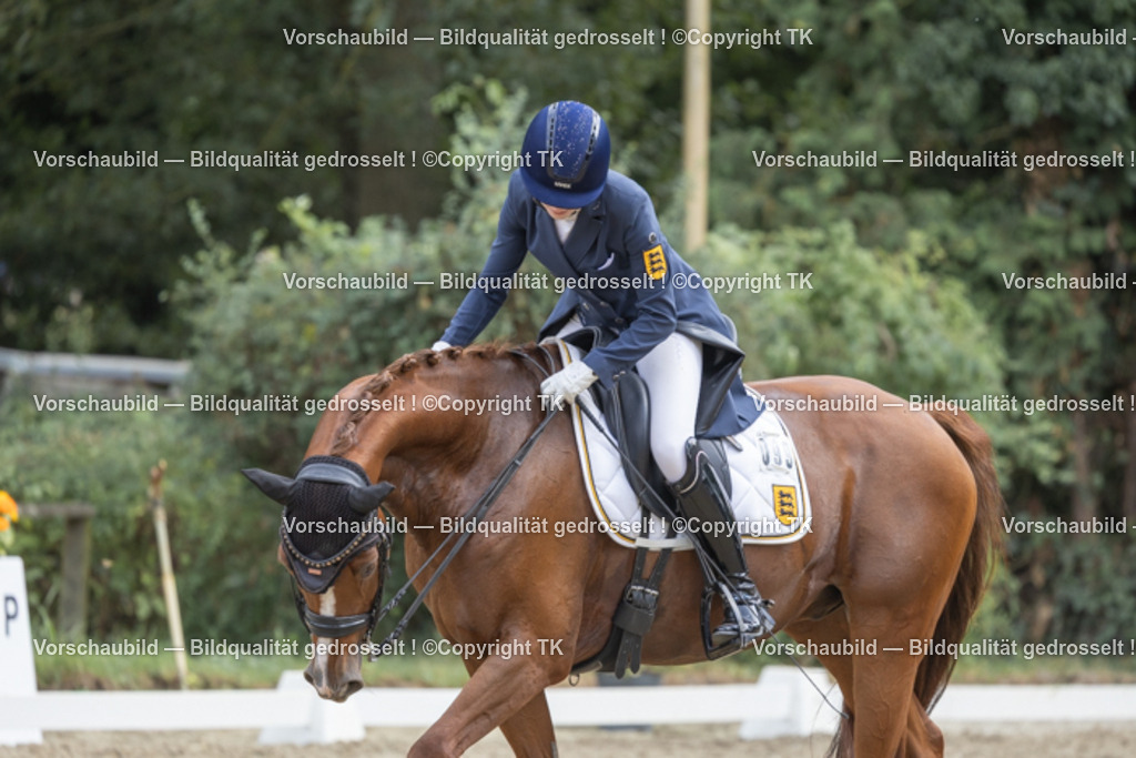 _D5A3911 | Emotionale Pferde- & People-Fotografie rund um Heidelberg, Leimen & Umgebung. Natürliche Fotos von Pferd, Mensch & Familie. Jetzt Termin sichern!