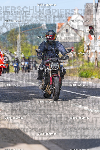 MSFotoService-565 | MSFotoService - Realisiert mit Pictrs.com