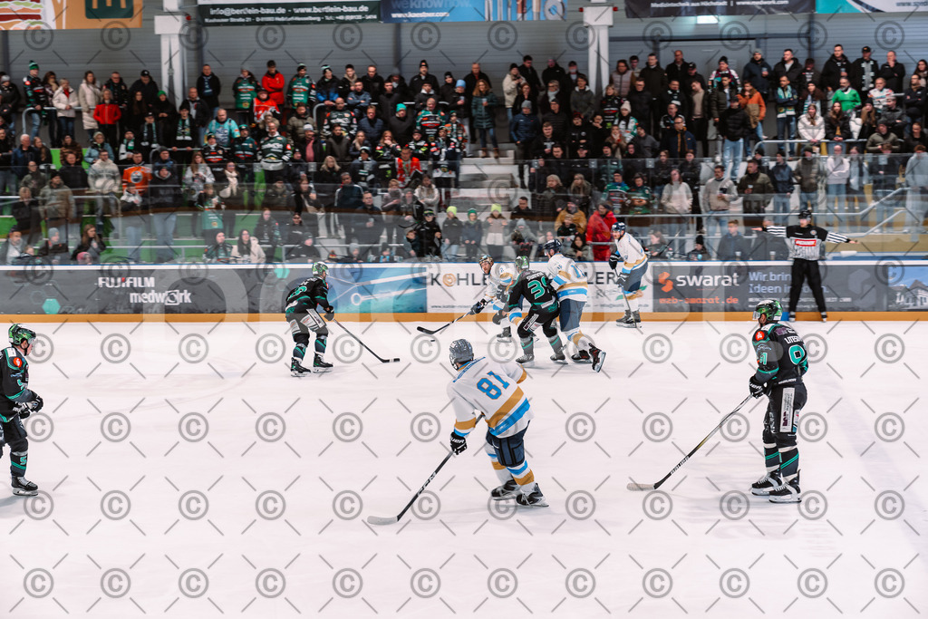 Alligators_vs_Stuttgart_16_11_2025-80 | Höchstadt Alligators Fotogalerie: Eishockey-Action aus Franken. Professionelle Spielfotos, Portraits & Stadionbilder zum Download. Jetzt entdecken! - Realisiert mit Pictrs.com