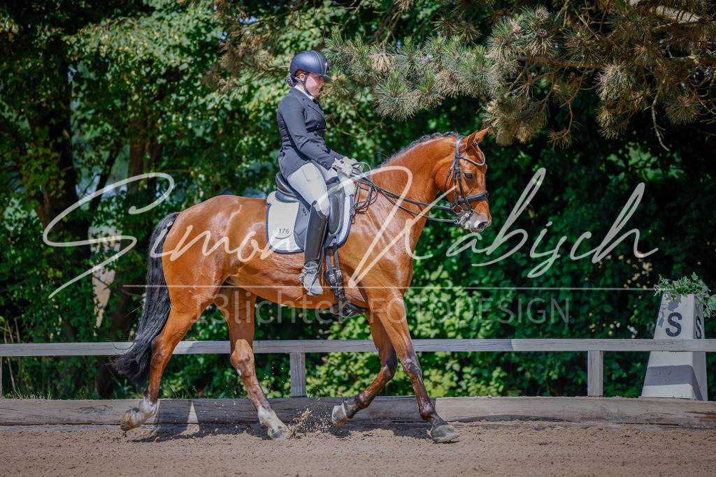 20250621-_3LI9029 | Tierfotografie Pferde, Hunde, Katzen, Haustiere.
Turnierfotografie Reitturniere, Reiten, Springreiten, Dressur in Hanau, dem Main-Kinzig-Kreis und dem Rhein-Main- Gebiet um Frankfurt