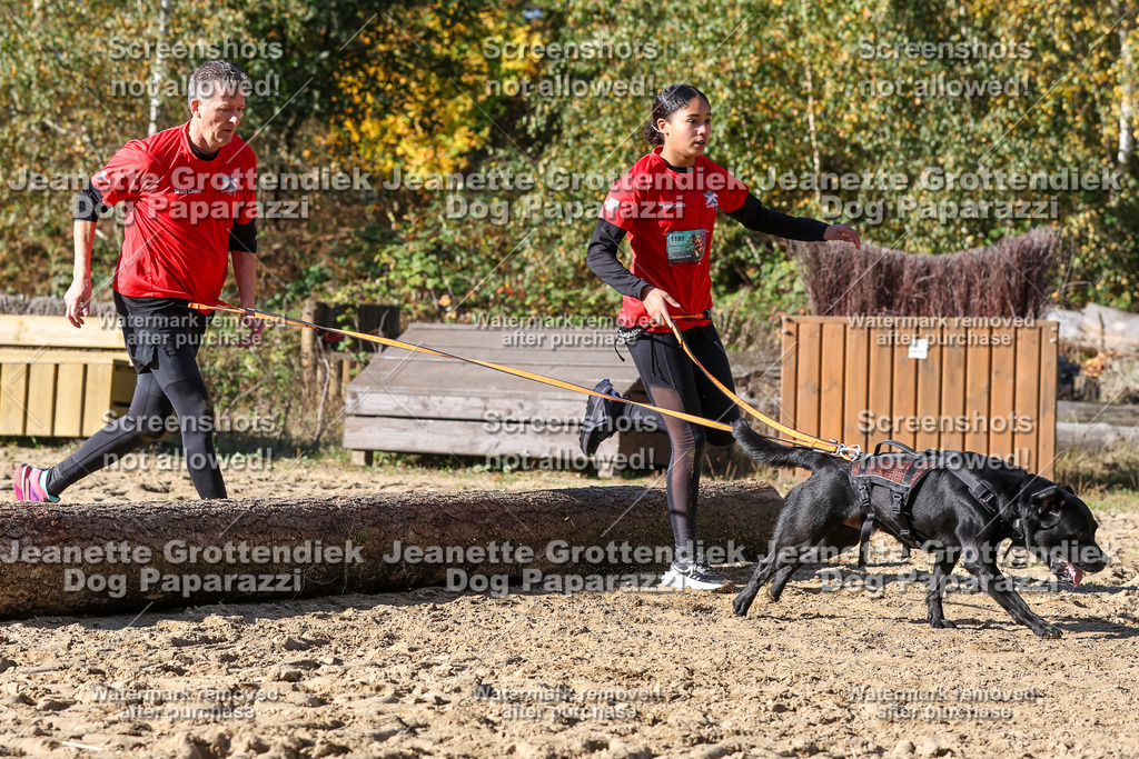 Dog Paparazzi - Strongdog 10-25-4705 | Dog Paparazzi Jeanette Grottendiek Fotografie & Videografie - Realisiert mit Pictrs.com