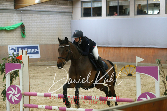 IMG_0655 | Turnierfotos kaufen im Webshop von Daniel Kuhl Photography – entdecke professionelle Reitsportfotos aus Turnieren & Events. Hochwertige Turnierbilder online bestellen & sichern. Jetzt Fotos von Reitsportturnieren kaufen!