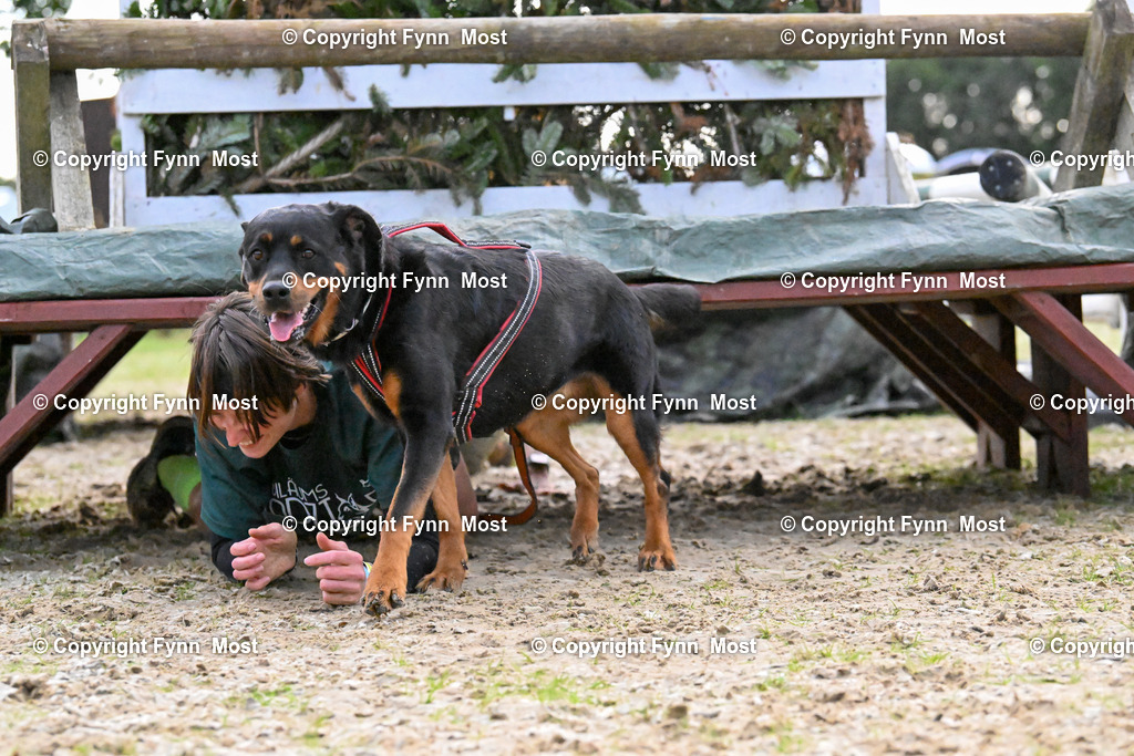 DSC_4612 | Hallo und herzlich Willkommen auf meiner Shop-Seite Fynn Most.

Ich wünsche Dir viel Spaß beim stöbern durch die Bilder, wenn Du Fragen hast oder Bilder vermisst, kannst du mir gerne eine Nachricht schreiben. - Realisiert mit Pictrs.com