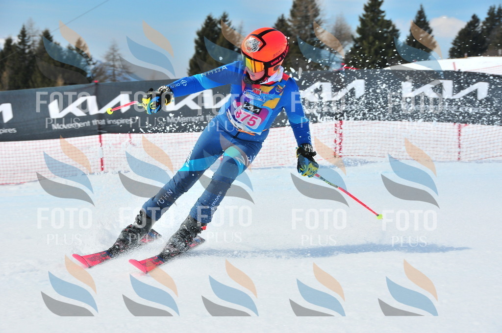 DSC_7174 | holidayphoto