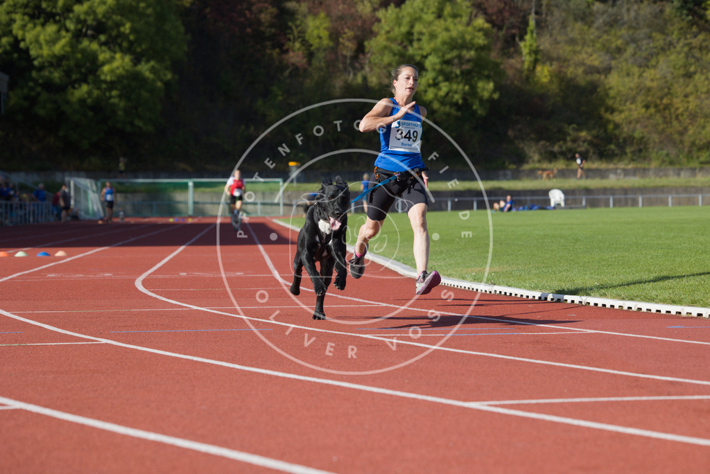 0L8A9662 | Hundefotografie, Tierfotograf, Pfotenfotografie, Fotoshooting Hund, Hunde Portrait, Hundesport, Hundeportraits, Heideshooting, Hunde, Sportfotograf, Hundefotograf, Turnierhundsport, THS,  - Realisiert mit Pictrs.com