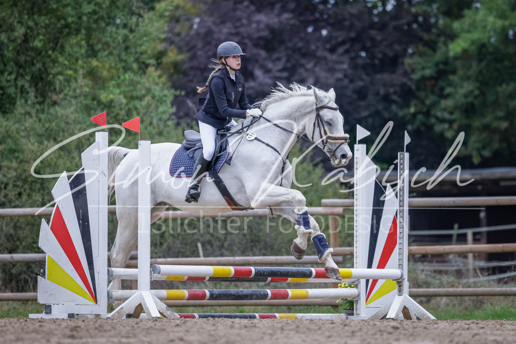 20251012-_3LI2828 | Tierfotografie Pferde, Hunde, Katzen, Haustiere.
Turnierfotografie Reitturniere, Reiten, Springreiten, Dressur in Hanau, dem Main-Kinzig-Kreis und dem Rhein-Main- Gebiet um Frankfurt