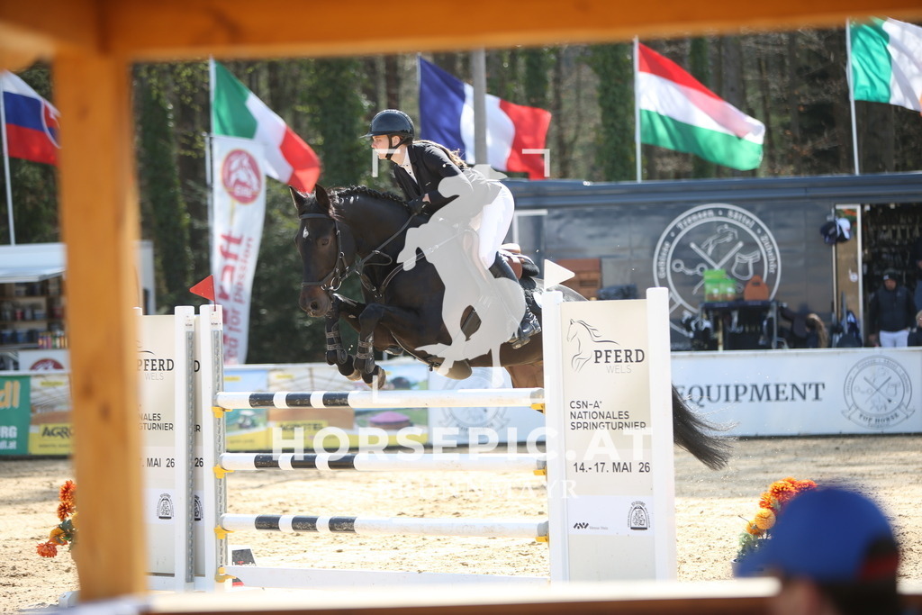 PP015098 | Willkommen bei Brunnmayr - Design & Fotografie – Ihrem Spezialisten für Reitturniere und Pferdeveranstaltungen in Oberösterreich, Salzburg und Bayern! Seit über 17 Jahren sind wir leidenschaftlich dabei.