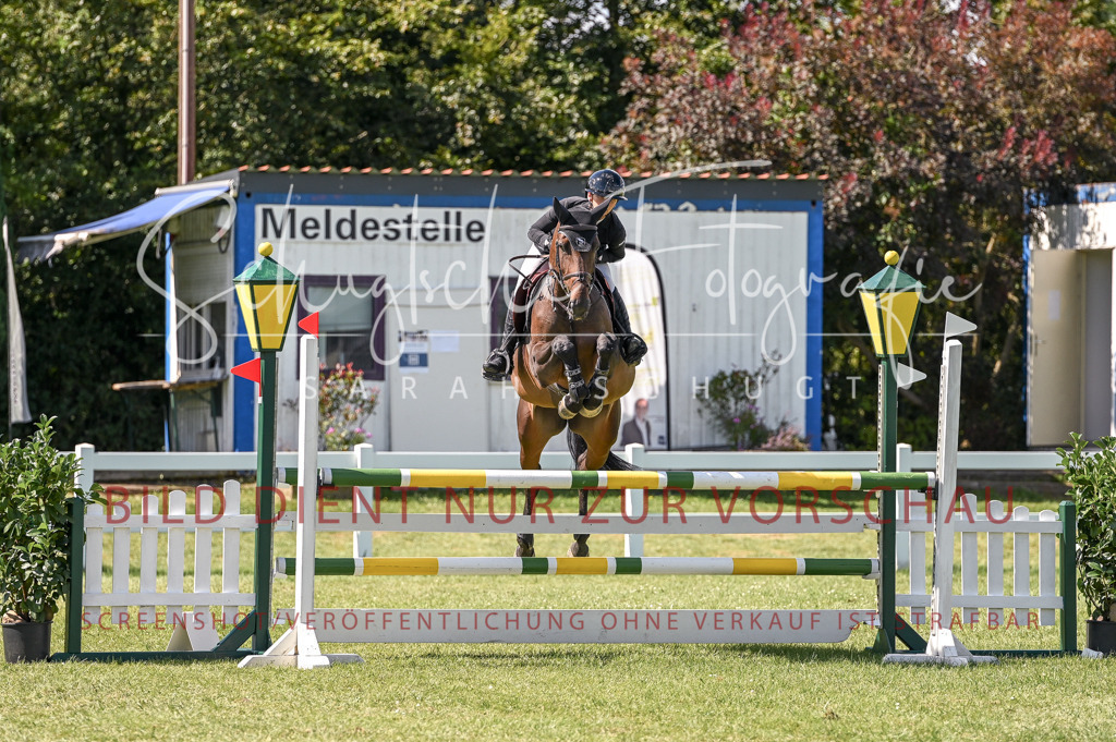 Schugtsche-Düren.2024-09.Springprf.L-44 | Schugtsche Fotografie - Realisiert mit Pictrs.com