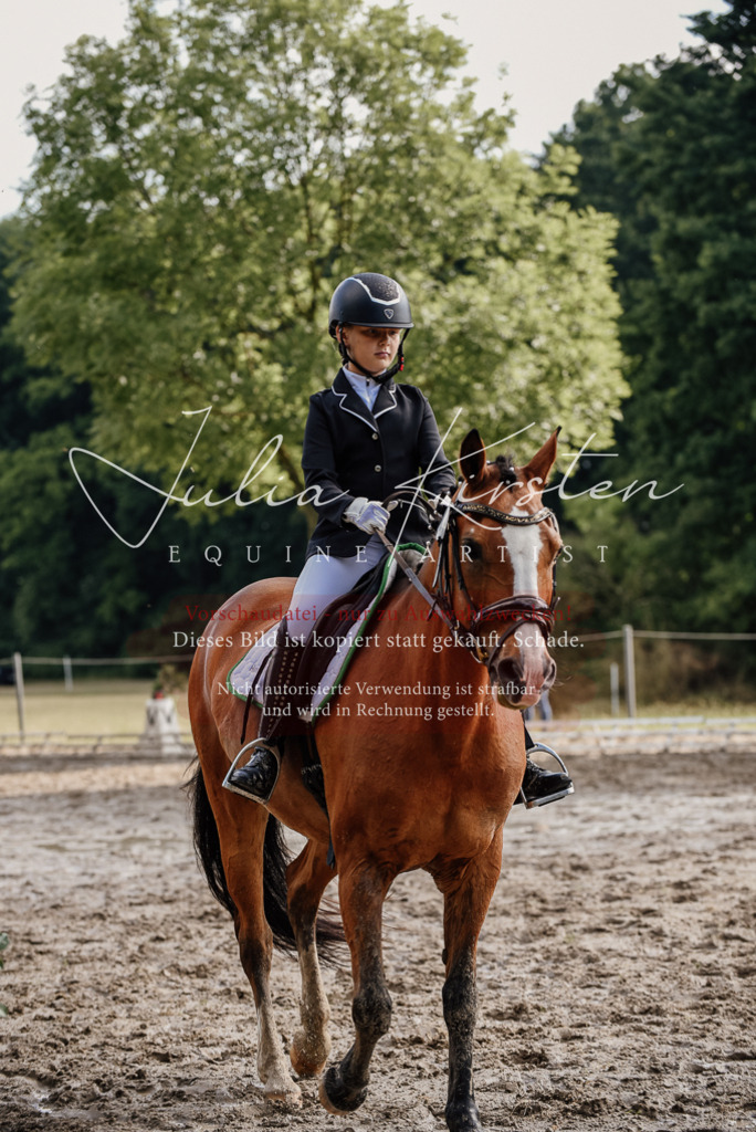DSC_9135 | Pferde- und Turnierfotografie in Westsachsen. Pferdeportraits, Auftragszeichnungen und intuitive Kunst.