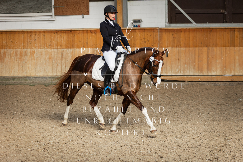 IMGT5111 | pl-fotografie