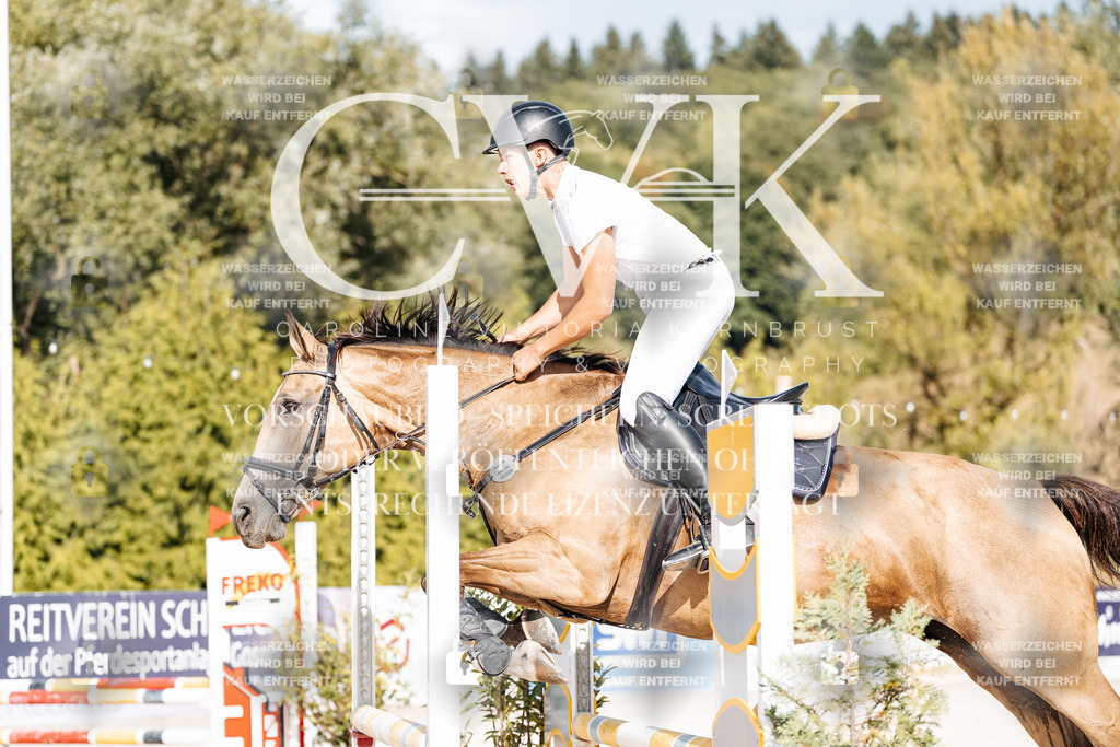 CK909169 | Turnierfotografie Pferdefotografie Trier Rheinland-Pfalz Pferdesport Reitsport Tierfotografie Sportfotografie Pferdevideo Pferdevideografie Equestrianvideography equestrianphotography  - Realisiert mit Pictrs.com