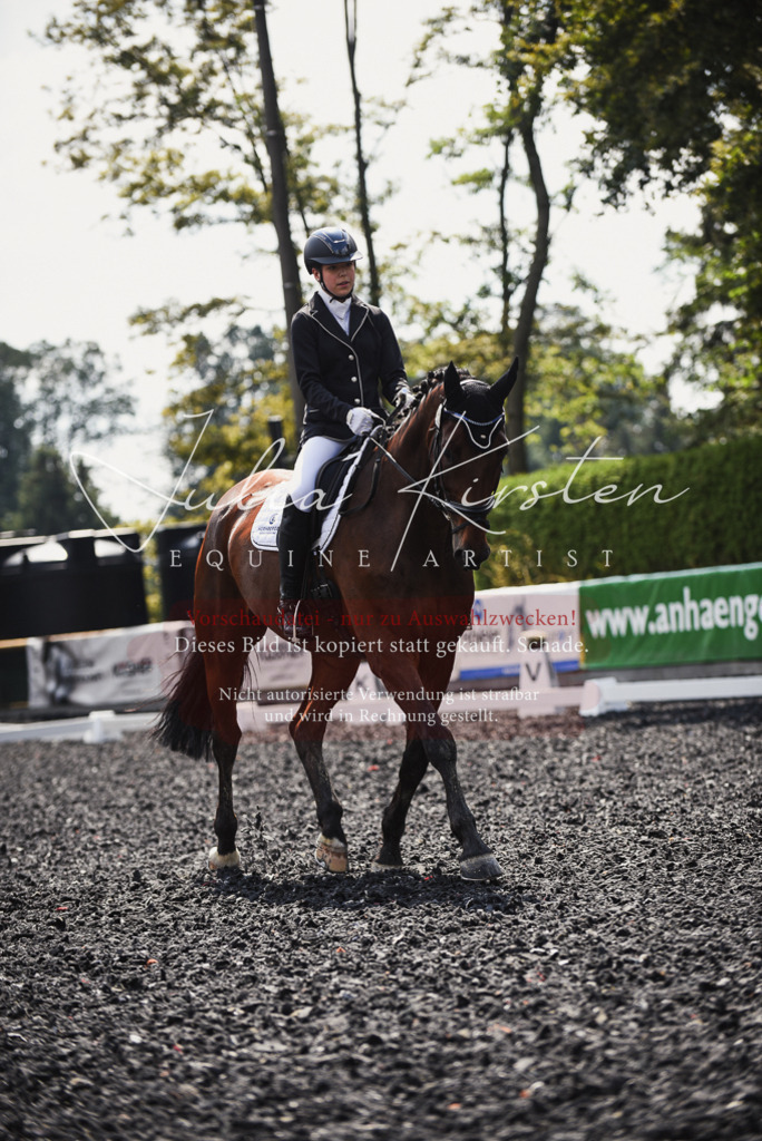 DSC_4133 | Pferde- und Turnierfotografie in Westsachsen. Pferdeportraits, Auftragszeichnungen und intuitive Kunst.
