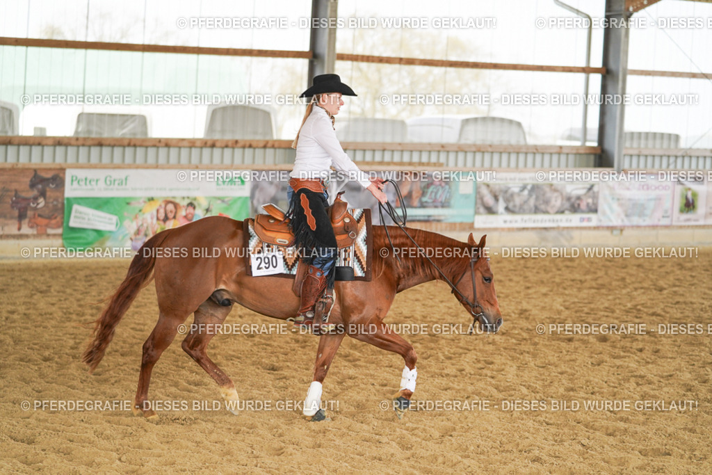 DSC06021 | Pferdegrafie