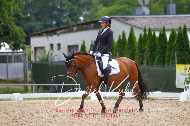 DKP42326 | Turniersportfotografie; Pferdefotografie; Dressurfotografie