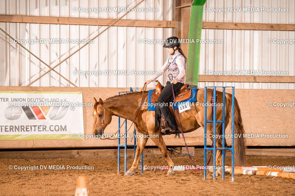 BA300317 | dv-media-shop - Realisiert mit Pictrs.com