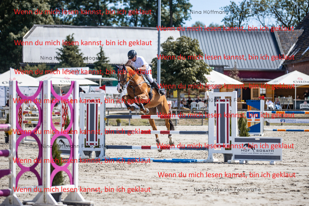 BK1A6446 | Turnierbilder Turnierfotos Nina Hüffmann Turnierfotografie Pferdefotografie Tierzeichnung Haustierzeichnung Pferdezeichnung Hundezeichnung Videograf  - Realisiert mit Pictrs.com
