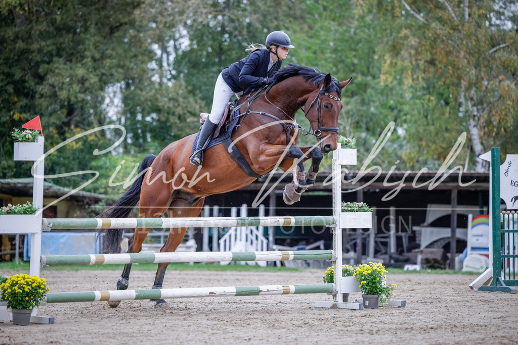 20251012-_3LI4958 | Tierfotografie Pferde, Hunde, Katzen, Haustiere.
Turnierfotografie Reitturniere, Reiten, Springreiten, Dressur in Hanau, dem Main-Kinzig-Kreis und dem Rhein-Main- Gebiet um Frankfurt