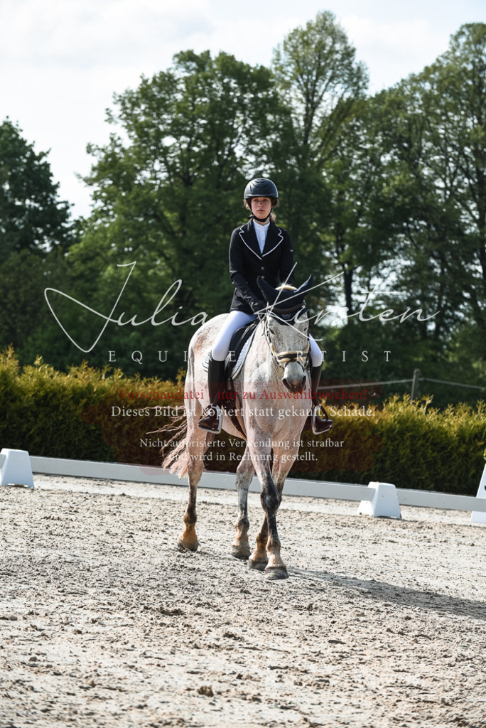 20230518_JK-Röhrsdorf-09-1154 | Pferde- und Turnierfotografie in Westsachsen. Pferdeportraits, Auftragszeichnungen und intuitive Kunst.