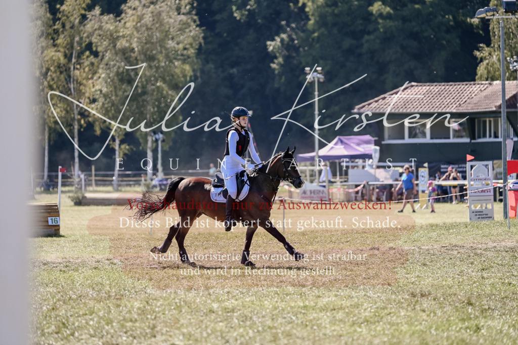 DSC_2929 | Pferde- und Turnierfotografie in Westsachsen. Pferdeportraits, Auftragszeichnungen und intuitive Kunst.